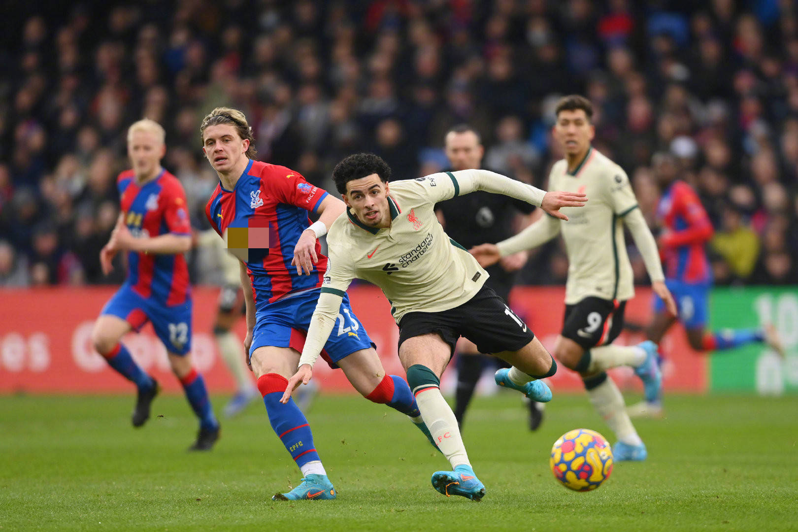 尽管曾经历 尽管曾经历