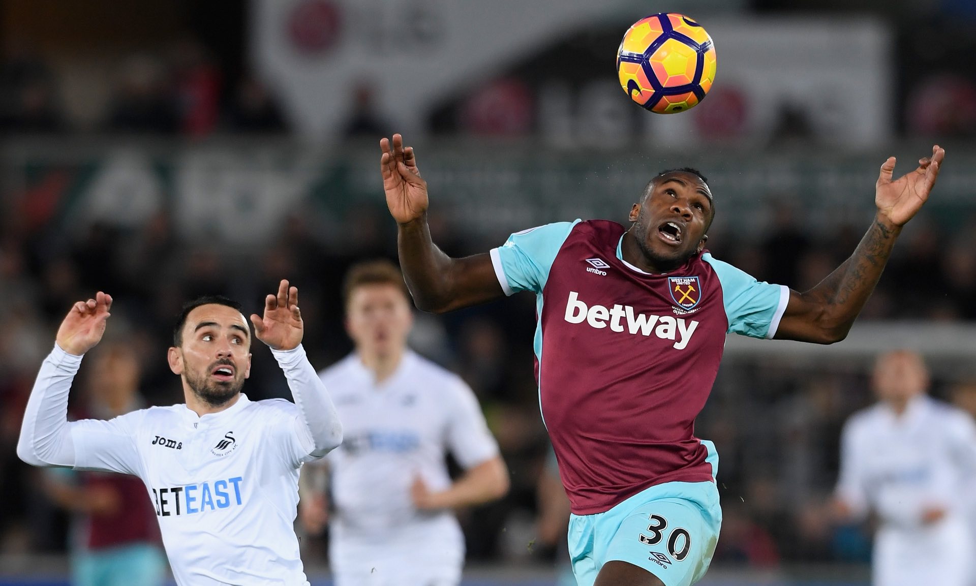 奧斯梅恩個人資料.